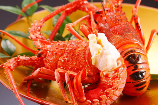 【日本】出清一口價-桃太郎關西四都5日.和服體驗.姬路城.米其林金閣寺.清水寺.嵐山渡月橋.東大寺