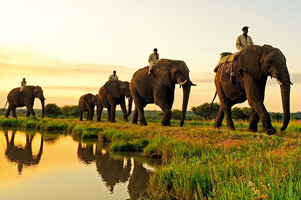 【泰殺了】泰愛曼芭 爽泰度假莊園 丹能莎朵 雙網紅咖啡廳6日
