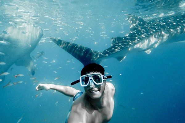 【菲律賓】超值宿霧+與鯨共游五日