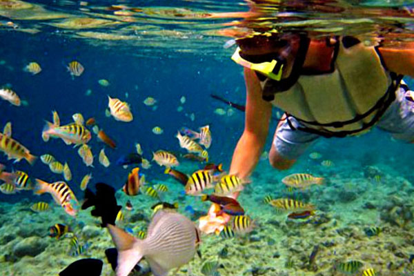 【菲律賓】宿霧+薄荷島精選五日