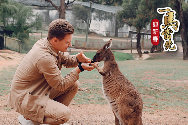 【澳遊客】東澳全覽心旅行・遇見三城8 天 -SIM卡、旅遊福袋、雙城夜遊、4★鬧區住宿