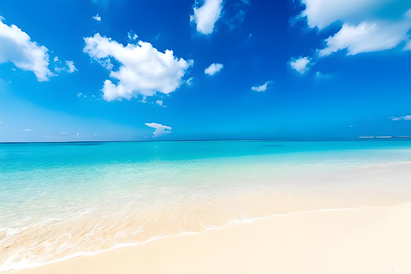 【日本】沖繩度假天堂5日.升等2晚A級市區飯店.世界最美之海水族館.鳳梨車.貓島奧武島.糸満海鮮.蒸氣海鮮.加贈單軌電車一日卷