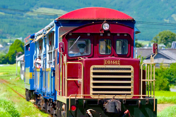 金馬迎新春九州花舞久住花仙境雙溫泉5日