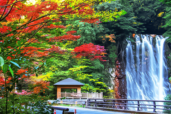 金馬迎新春南北九州幸福雙溫泉5日