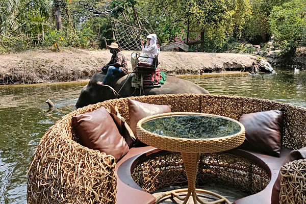 曼芭5+1日(無購物、含稅)