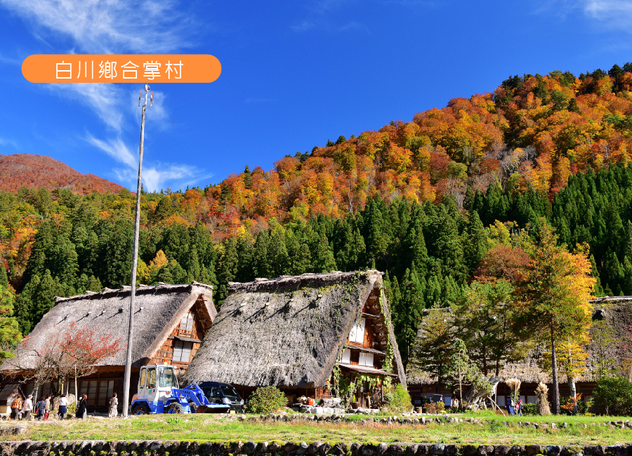 第2人折3000 【北陸】【特惠選】秋楓立山黑部6日~$31,900起（9-11月）