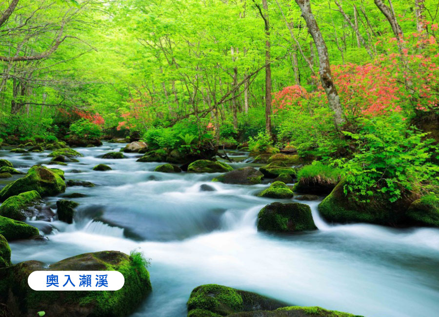 每人折1000 【東北】特惠秋楓東北雙溫泉5日~（10月）