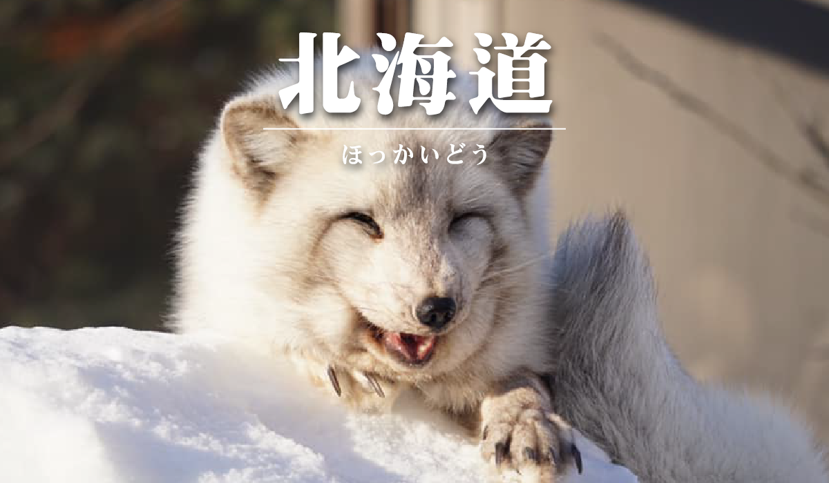 輪播2