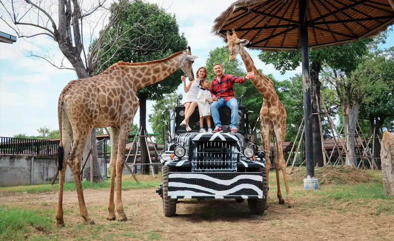 [嗨高雄~大城5+1日]爽泰莊園、暹羅古城、大城動物園、水上市場、金銀閣寺，龍蝦和牛吃到飽