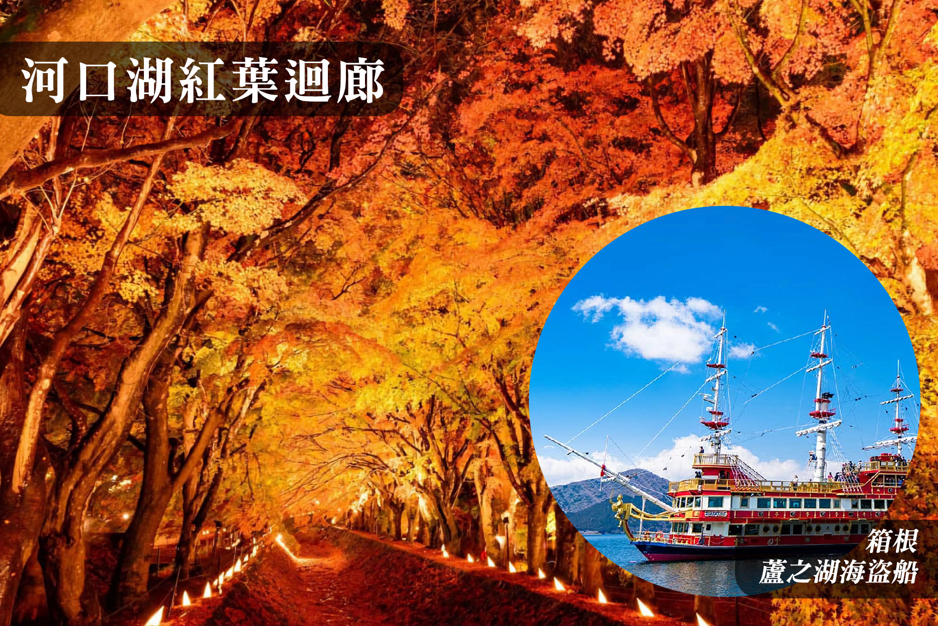 靜賞秋紅》唯美東京5日