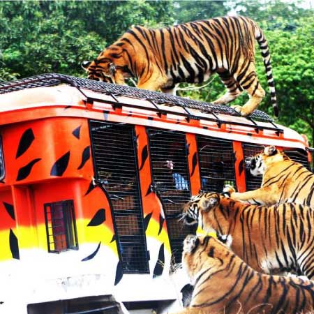 星宇～克拉克.蘇比克繽紛５日