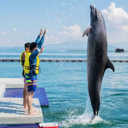 星宇～克拉克.蘇比克繽紛４日