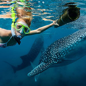 RW直飛薄荷島~鯨彩假期六日（2人成行）