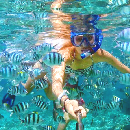 宿霧+薄荷島精選五日(6人成行)
