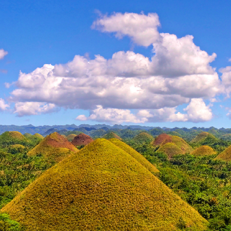 RW直飛薄荷島~玩樂五日 (2人成行)
