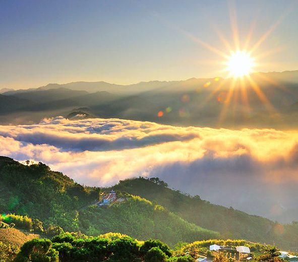 嘉義阿里山趣-.小奈良梅花鹿.獨角仙農場.窯烤雞美食2日