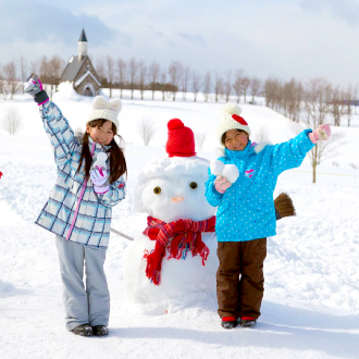 泰夢幻東京玩雪溫泉5日.富士山景觀纜車.採草莓體驗.忍野八海.海賊船.箱根神社(泰獅航）