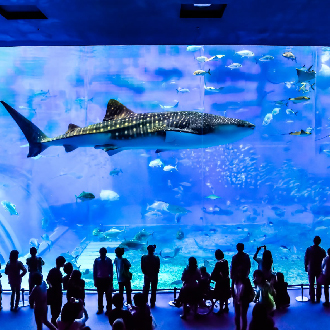 沖繩自由行5日~4晚連泊那霸市區飯店(送網卡一張)