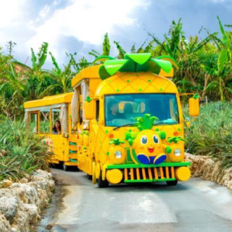 歡樂沖繩5日~世界最美之海水族館.鳳梨車.貓島奧武島.半潛水艇.琉球舞蹈.加贈單軌電車一日卷