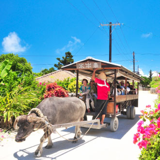 湛藍石垣島自由行4日.三晚連泊市區飯店一中床(送網卡一張)