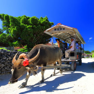 湛藍石垣島竹富島跳島4日.米其林三星川平灣.水牛車.單車體驗.星砂海灘.石垣牛燒肉吃到飽.一日自由活動.華航直飛