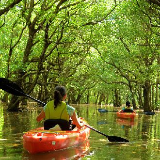 湛藍石垣島竹富島西表島跳島5日.米其林三星川平灣.水牛車.星砂海灘.石垣牛燒肉吃到飽.紅樹林獨木舟體驗.(華航直飛)
