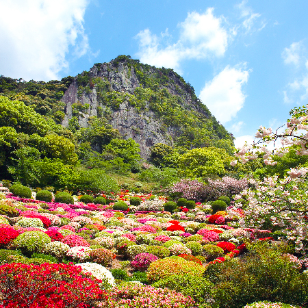 佐賀宮崎虎元氣5日有田陶瓷宮殿.九十九島公園.嬉野茶體驗.一蘭拉麵.霧島神宮.青島神社.祈願繪馬古道