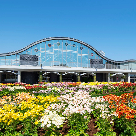 南九州戀戀篤姬風情5日入住喜來登.霧島神宮.飫肥城下町.摩艾石像群.電車體驗.櫻島渡輪.指宿砂浴