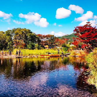 九州星楓戀５日.菊池溪谷.耶馬溪紅葉.柳川遊船.小倉城.湯布院.仙境金鱗湖.懷舊門司港.三大螃蟹燒肉吃到飽(熊本進出)