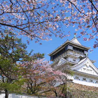 幸福佐賀花海5日.呼子遊船.御船山樂園.長崎斜坡鐵道.旅人列車.長腳蟹吃到飽.入住三溫泉(佐賀進出)