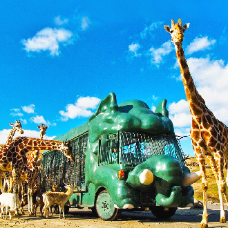 FUN寒假九州雙樂園5日.自然野生動物園.水族館.南阿蘇鐵道.柳川遊船.湯布院小鎮.佐賀牛.三大螃蟹(大分進佐賀出)