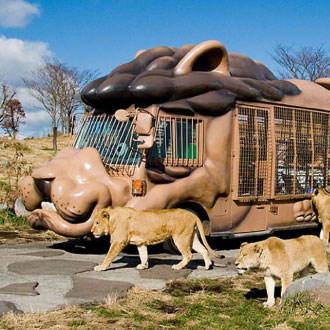 春季線上旅展元氣大分自由行5日.2晚連泊大分市區飯店一中床(送網卡一張5G)