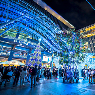 ITF搶購九州博多彩燈節5日.柳川暖舟遊船.冬季採草莓.長腳蟹吃到飽.阿蘇溫泉鄉