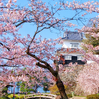 九州賞櫻人氣列車7日.由布院列車.自然野生動物園.鶴見岳空中纜車.柳川遊船.阿蘇火山.採果樂.燒肉吃到飽