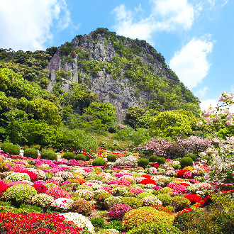 楓遊元氣佐賀大分5日.御船山樂園.雷山千如寺.唐津城.寶滿宮竈門神社.耶馬溪.湯布院童話小鎮.別府溫泉鄉(佐賀進大分出)
