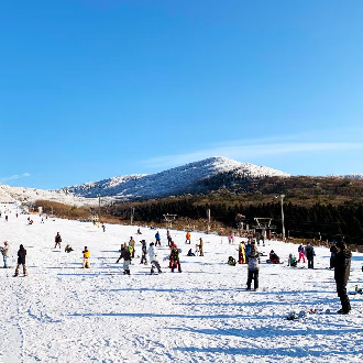 FUN寒假九州五大主題雙溫泉5日.豪斯登堡米飛兔.九十九島遊船.高千穗小火車.採草莓.戲雪.伊勢龍蝦(佐賀進宮崎出)