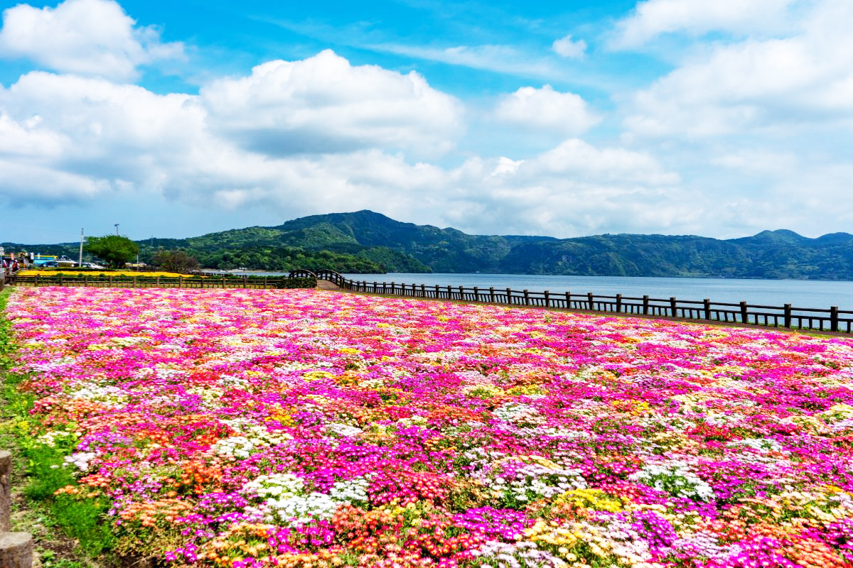 九州｜保出 金馬迎新春南北九州幸福雙溫泉5日  $60,900起