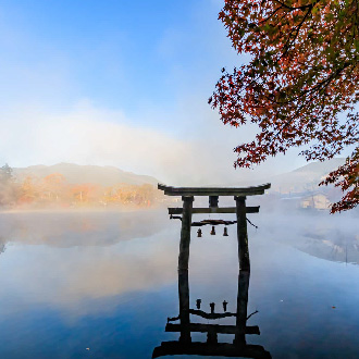 【限時限量】熊本輕旅行5日~熊本城.柳川遊舟.湯布院童話小鎮.系島鞦韆.別府溫泉鄉.燒肉吃到飽(熊本進出)