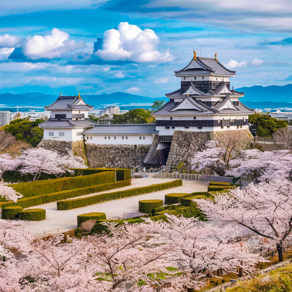 歐風熊愛九州５日