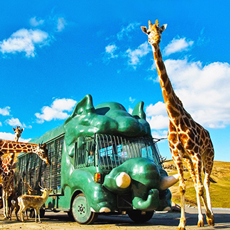 南北九州超精選５日