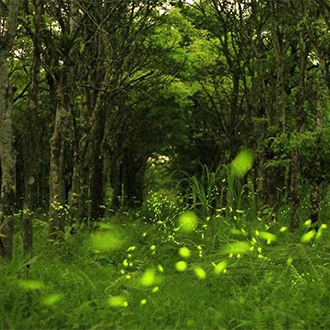 星悅九州輕旅行5+1日.入住別府灣美爵溫泉.絕美湯布院小鎮.最美角島大橋.元乃隅稻成神社.柳川遊船.唐戶市場.酒水暢飲