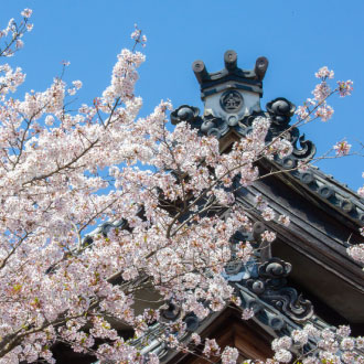 【限時限量】四國全覽小豆島5日.天使步道.大步危遊船.金刀比羅宮.烏龍讚岐麵DIY.道後溫泉(中華航空.高松進出)