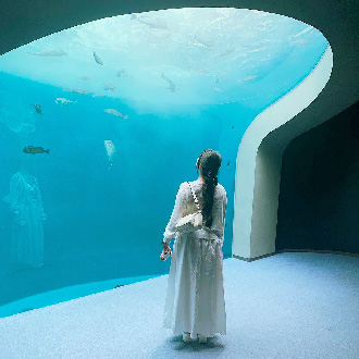 /material-alias/日本館/03四國/四國_四國水族館.jpg