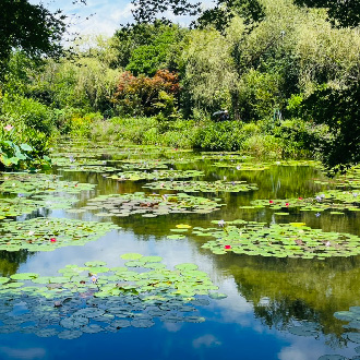 絕景廣島四國6日百選溫泉.海景鐵道.宮島神社.莫內庭園.大步危遊船.炙燒鰹魚體驗.道後溫泉.金刀比羅宮