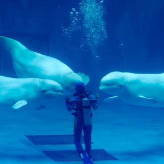 冬雪戀四溫泉5日