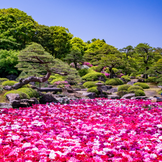 【線上旅展】經典山陰山陽四國雙溫泉6日.柯南列車.注連繩體驗.出雲大社.鳥取砂丘.由志園.手作烏龍麵.