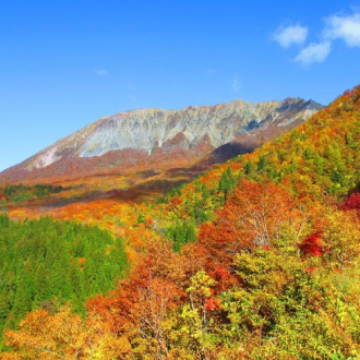 浪漫追楓山陰山陽5日.大山秘境木谷澤溪流.出雲大社.足立美術館.奧津溪.鳄淵寺.玉造溫泉.鳥取沙丘(不進免稅店)