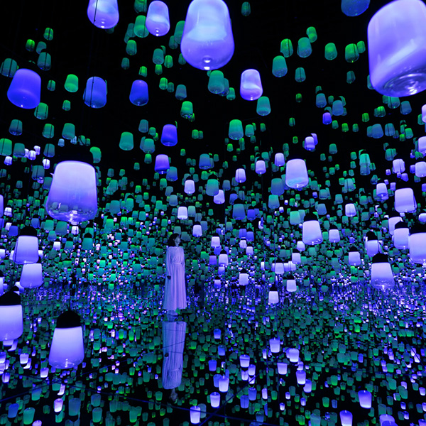 【出清一口價】泰饗趣花現三都5日~一晚五星.teamlab京都.璀璨花海.清水寺.嵐山叮叮車.螃蟹和牛龍蝦