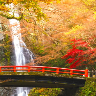 超印楓紅京阪5日.升等兩晚京都.南禪寺.箕面瀑布.和服體驗.宇治遊船.螃蟹美食.東大寺.奈良小鹿.