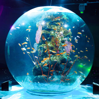 直飛神戶~星宇航空計畫票5日好禮五重送!買機票贈送一晚五星神戶住宿&飯店早餐&網卡&愛電王&大丸百貨優惠券